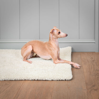 Present your furry friend with the perfect pet mattress featuring thick padding for the ultimate comfort! The luxury hottie mat is ideal for pet travel, available now at Lords & Labradors    