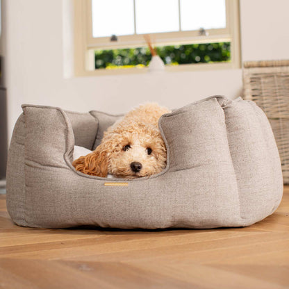 High Wall Bed For Dogs in Inchmurrin Ground By Lords & Labradors