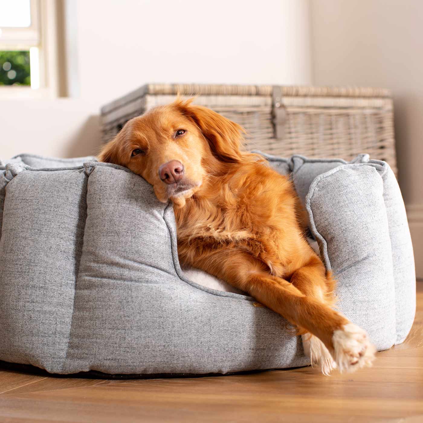 High Wall Bed For Dogs in Inchmurrin Iceberg By Lords & Labradors