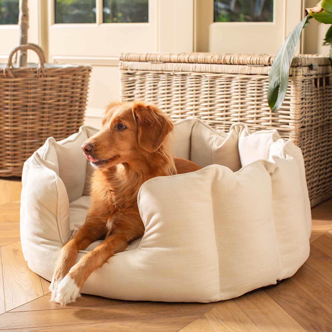 Discover Our Luxurious High Wall Bed For Dogs, Featuring inner pillow with plush teddy fleece on one side To Craft The Perfect Dogs Bed In Stunning Savanna Bone! Available To Personalise Now at Lords & Labradors    