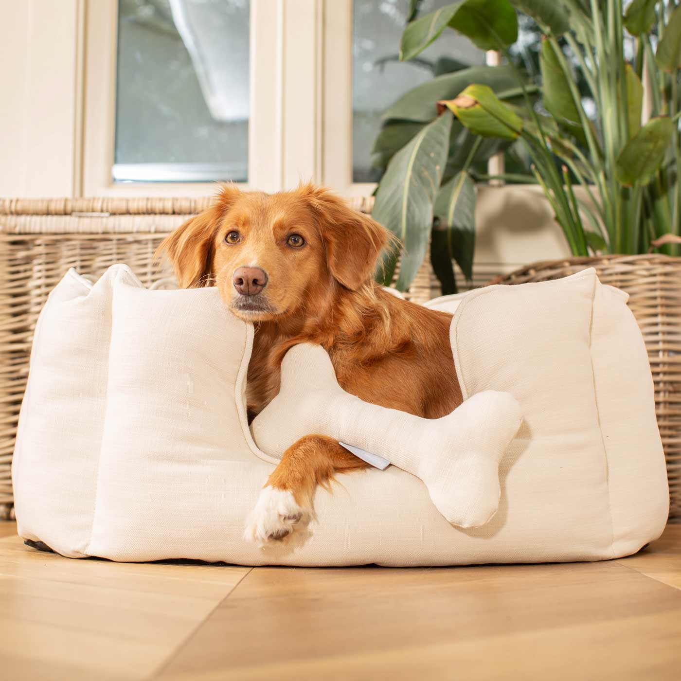 Discover Our Luxurious High Wall Bed For Dogs, Featuring inner pillow with plush teddy fleece on one side To Craft The Perfect Dogs Bed In Stunning Savanna Bone! Available To Personalise Now at Lords & Labradors    