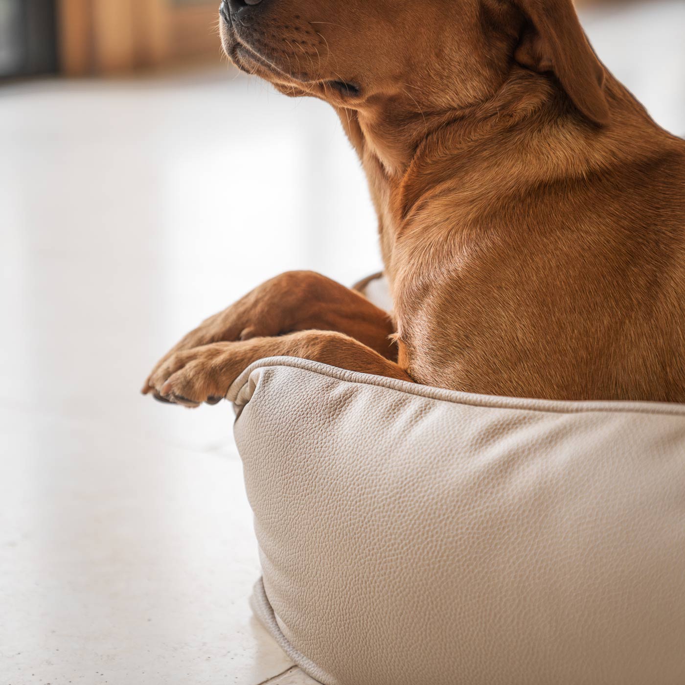 Luxury Handmade Box Bed in Rhino Tough Faux Leather, in Sand, Perfect For Your Pets Nap Time! Available To Personalise at Lords & Labradors