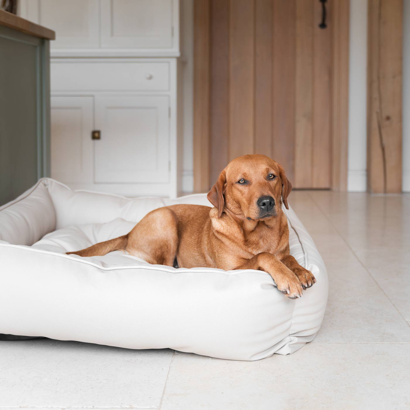 Luxury Handmade Box Bed in Rhino Tough Faux Leather, in Sand, Perfect For Your Pets Nap Time! Available To Personalise at Lords & Labradors