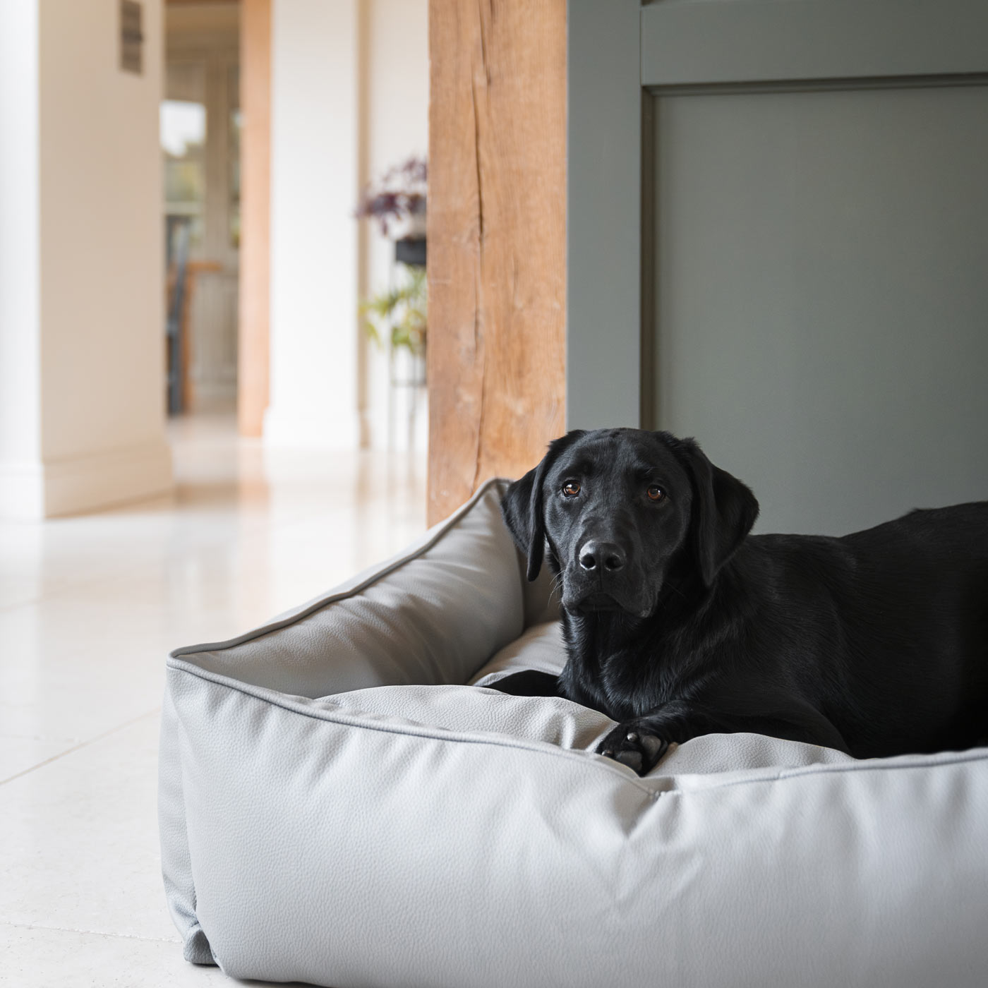 Luxury Handmade Box Bed in Rhino Tough Faux Leather, in Granite, Perfect For Your Pets Nap Time! Available To Personalise at Lords & Labradors