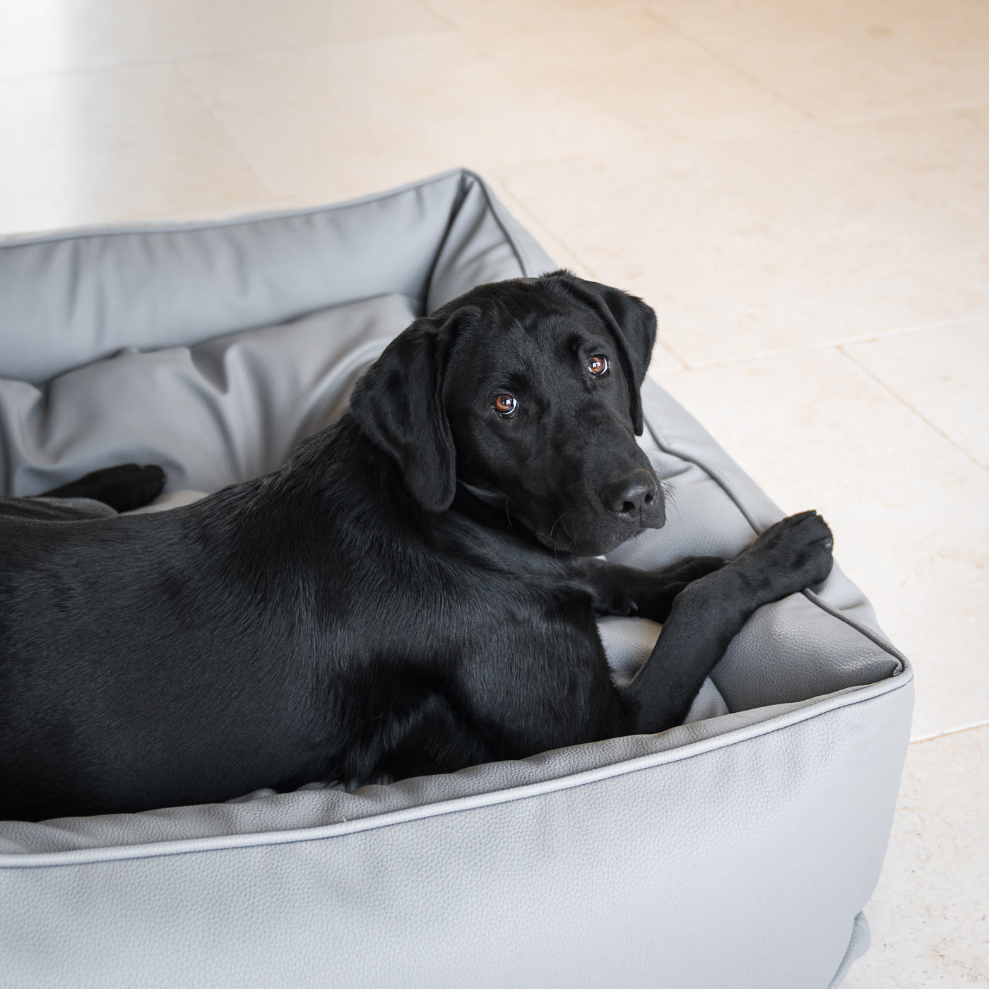 Luxury Handmade Box Bed in Rhino Tough Faux Leather, in Granite, Perfect For Your Pets Nap Time! Available To Personalise at Lords & Labradors