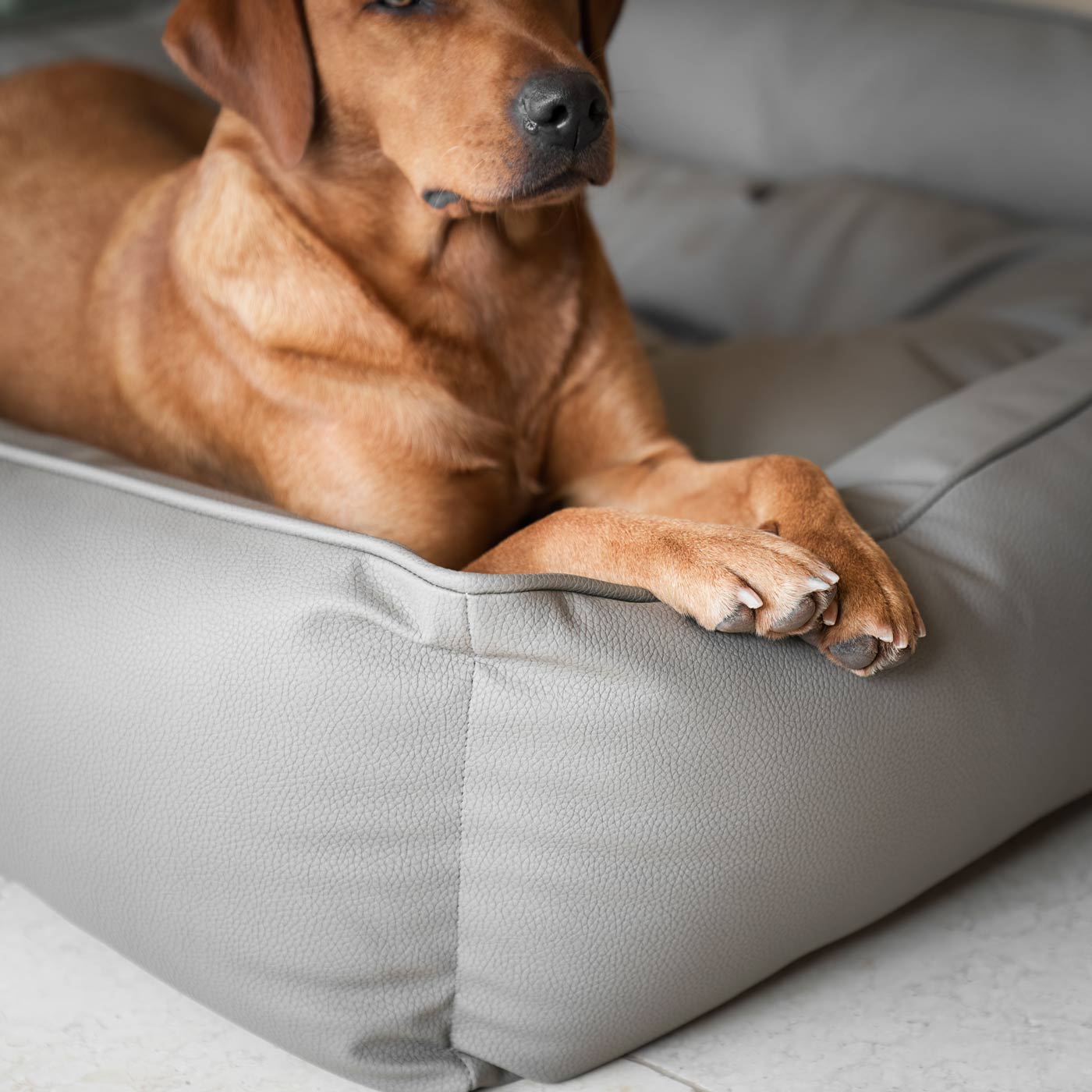 Luxury Handmade Box Bed in Rhino Tough Faux Leather, in Camel, Perfect For Your Pets Nap Time! Available To Personalise at Lords & Labradors