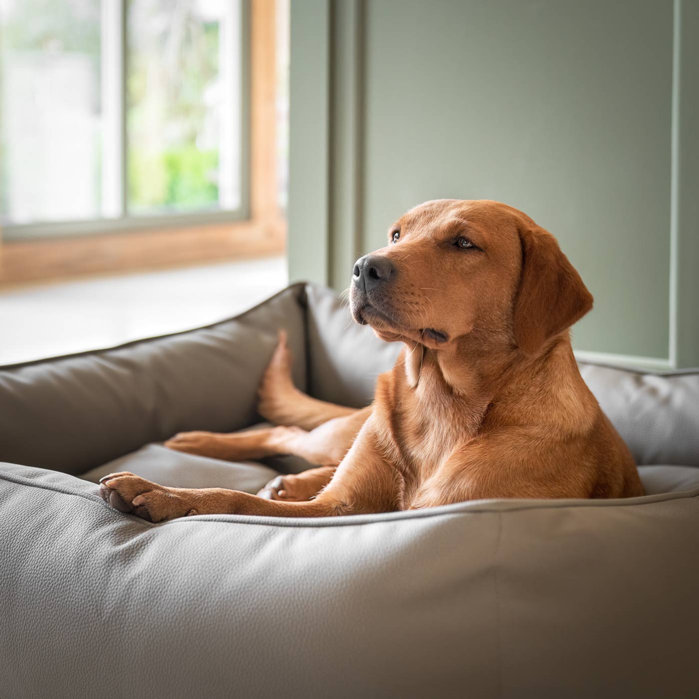 Luxury Handmade Box Bed in Rhino Tough Faux Leather, in Camel, Perfect For Your Pets Nap Time! Available To Personalise at Lords & Labradors