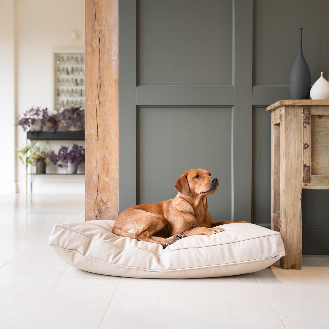 Luxury Dog Cushion in Rhino Tough Faux Leather in Sand, The Perfect Pet Bed Time Accessory! Available Now at Lords & Labradors