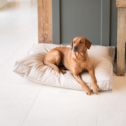 Luxury Dog Cushion in Rhino Tough Faux Leather in Sand, The Perfect Pet Bed Time Accessory! Available Now at Lords & Labradors