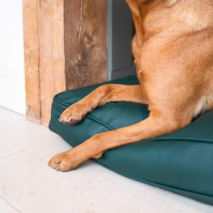 Luxury Dog Cushion in Rhino Tough Forest Faux Leather, The Perfect Pet Bed Time Accessory! Available Now at Lords & Labradors