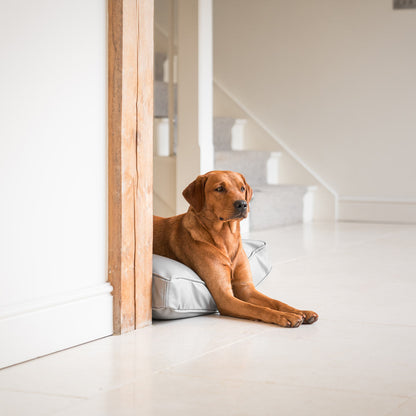 Luxury Dog Cushion in Rhino Tough Granite Faux Leather, The Perfect Pet Bed Time Accessory! Available Now at Lords & Labradors