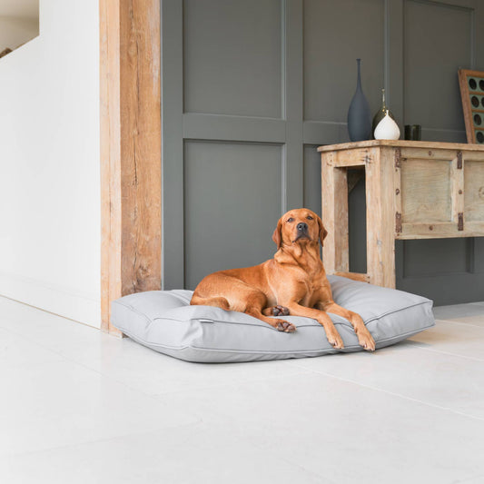 Luxury Dog Cushion in Rhino Tough Granite Faux Leather, The Perfect Pet Bed Time Accessory! Available Now at Lords & Labradors