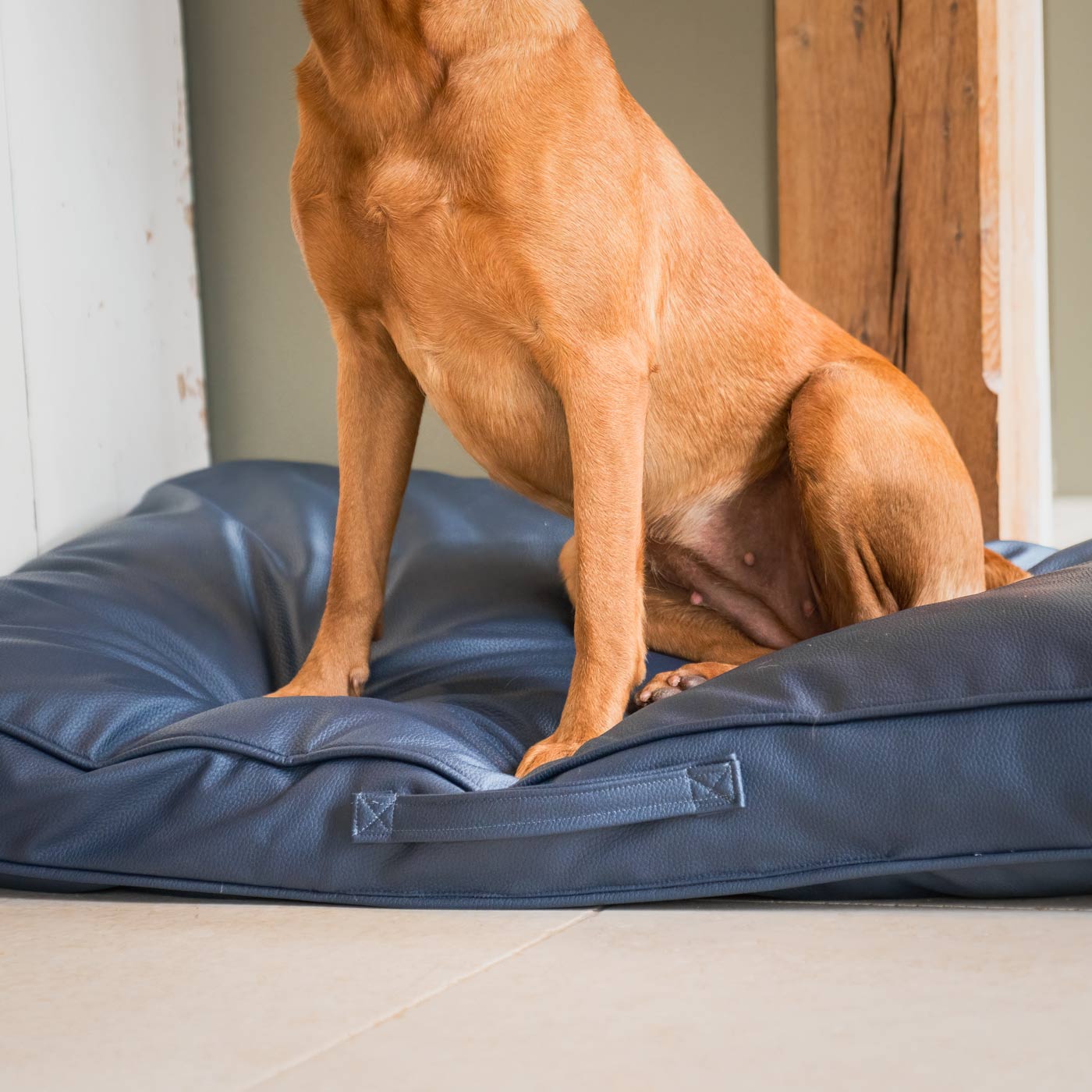 Luxury Dog Cushion in Rhino Tough Pacific Faux Leather, The Perfect Pet Bed Time Accessory! Available Now at Lords & Labradors