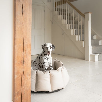 Luxury Handmade High Wall in Rhino Tough Faux Leather, in Sand, Perfect For Your Pets Nap Time! Available To Personalise at Lords & Labradors