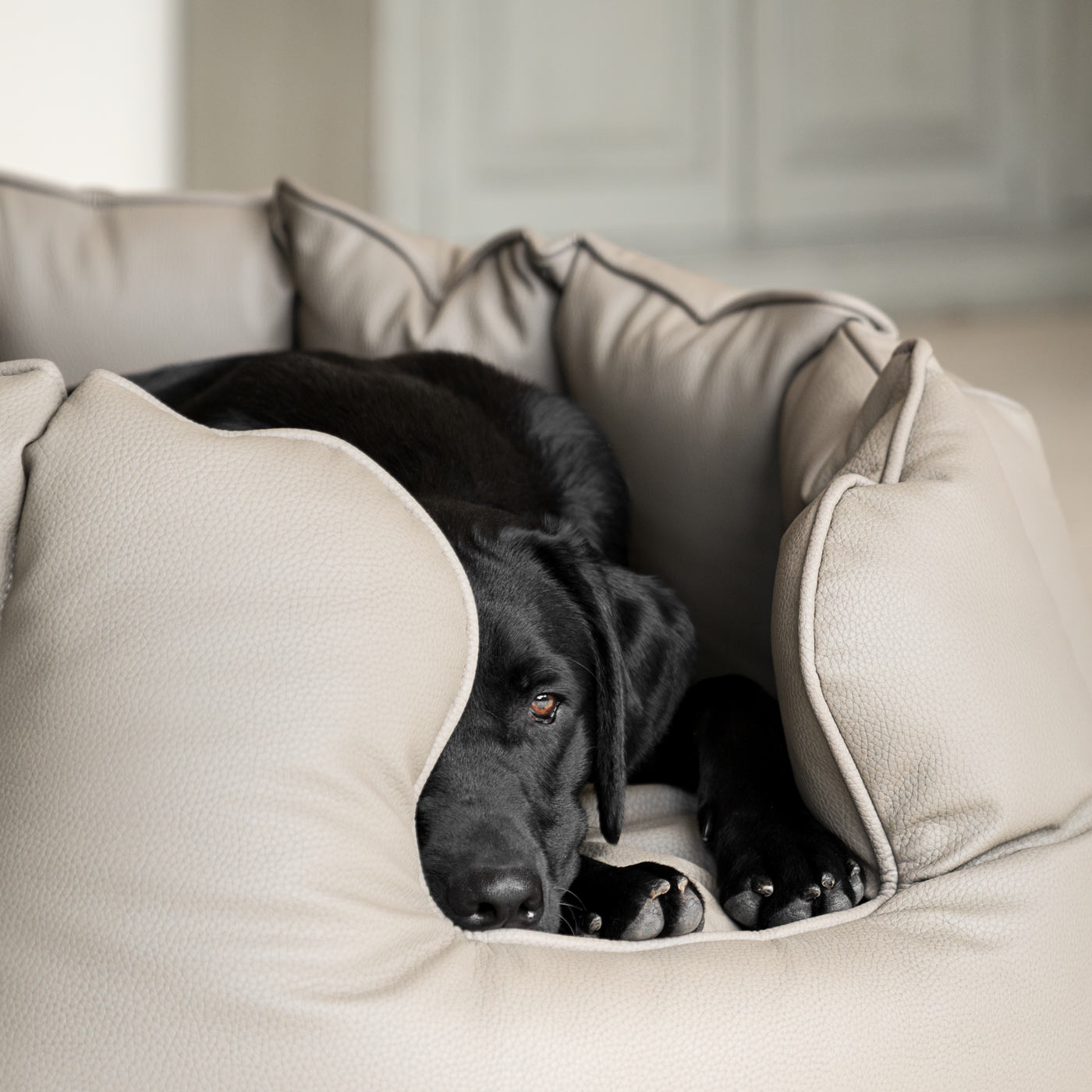 Luxury Handmade High Wall in Rhino Tough Faux Leather, in Camel, Perfect For Your Pets Nap Time! Available To Personalise at Lords & Labradors