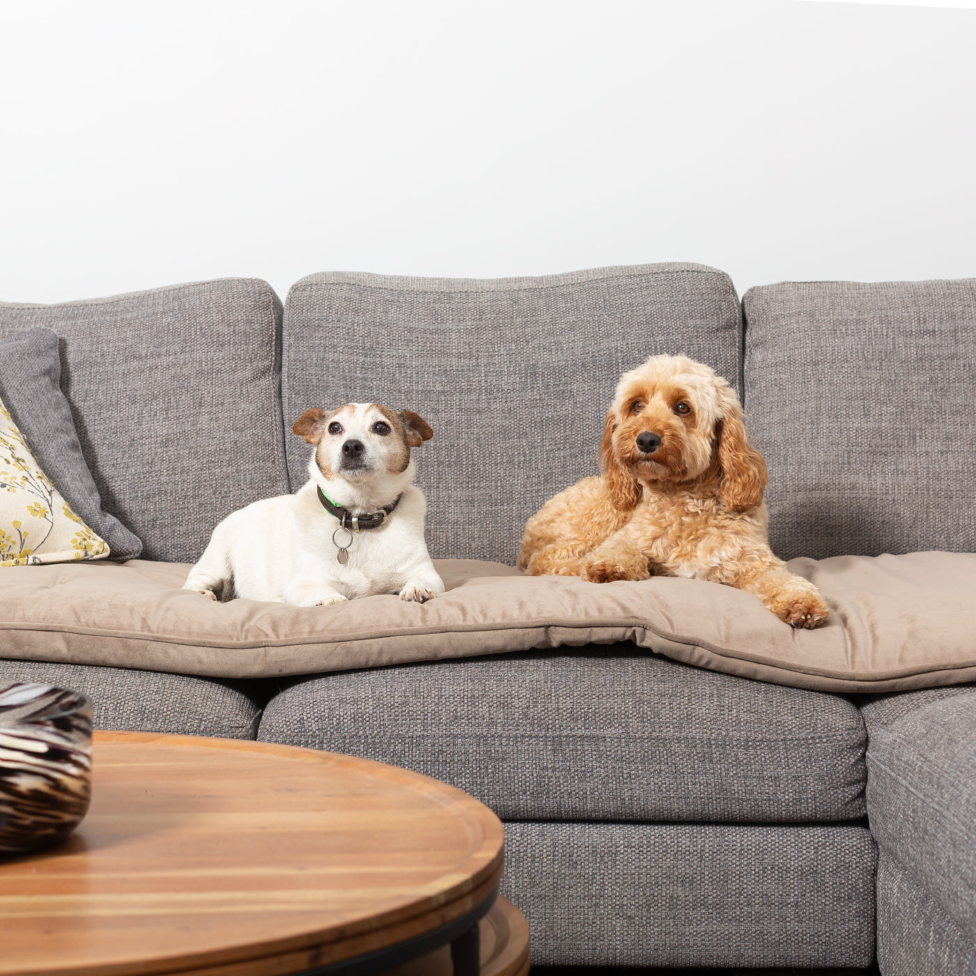 Sofa Topper in Clay Velvet By Lords & Labradors