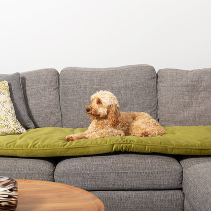 Sofa Topper in Olive Velvet By Lords & Labradors