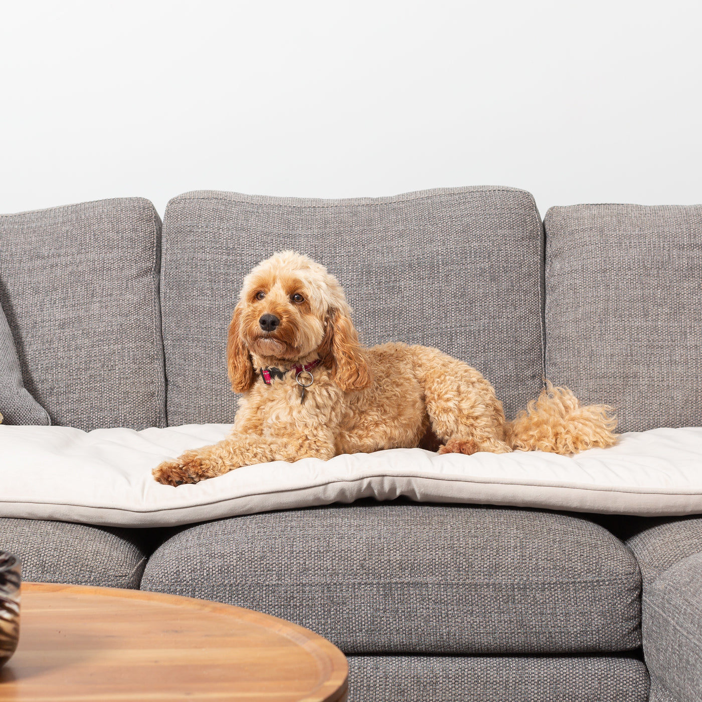 Sofa Topper in Oyster Velvet By Lords & Labradors