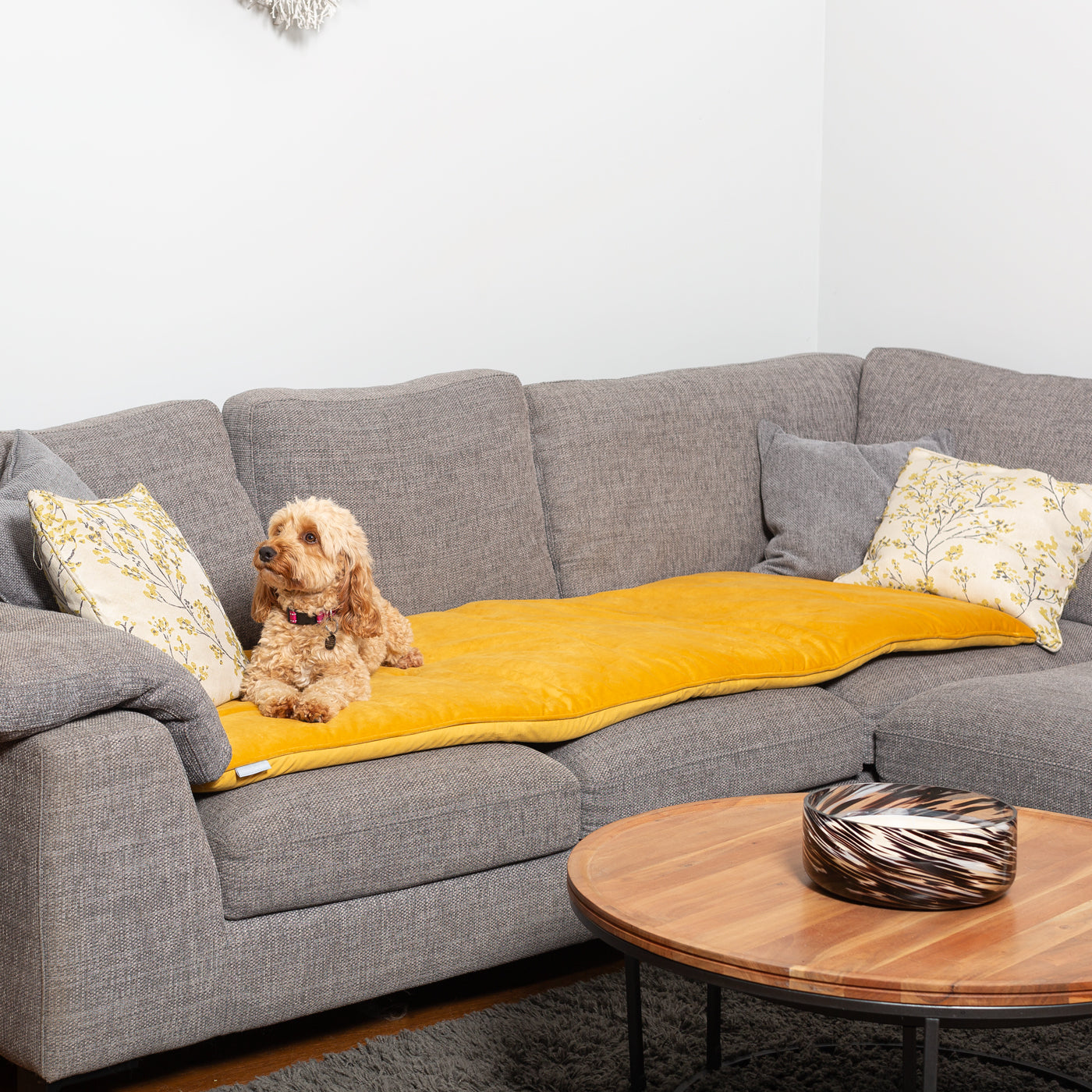 Sofa Topper in Saffron Velvet By Lords & Labradors