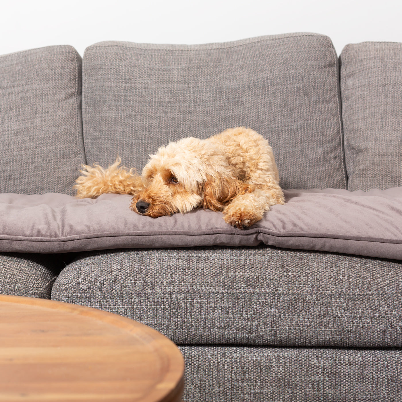 Sofa Topper in Silt Velvet By Lords & Labradors