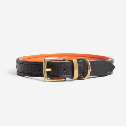 Discover dog walking luxury with our handcrafted Italian real leather, embossed with an Ostrich inspired print for the ultimate luxurious look, Dog Collar in Black & Orange! The perfect Collar for dogs available now at Lords & Labradors