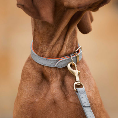 Discover dog walking luxury with our handcrafted Italian real leather, embossed with an Ostrich inspired print for the ultimate luxurious look, Dog Collar in Grey & Orange! The perfect Collar for dogs available now at Lords & Labradors