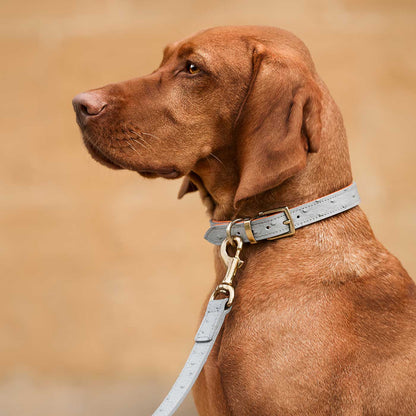 Discover dog walking luxury with our handcrafted Italian real leather, embossed with an Ostrich inspired print for the ultimate luxurious look, Dog Collar in Grey & Orange! The perfect Collar for dogs available now at Lords & Labradors