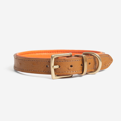 Discover dog walking luxury with our handcrafted Italian Ostrich leather dog Collar in Tan & Orange! The perfect Collar for dogs available now at Lords & Labradors