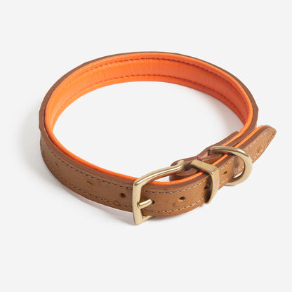 Discover dog walking luxury with our handcrafted Italian Ostrich leather dog Collar in Tan & Orange! The perfect Collar for dogs available now at Lords & Labradors