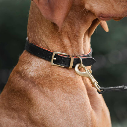 Discover dog walking luxury with our handcrafted Italian Ostrich leather dog Lead in Black & Orange! The perfect Lead for dogs available now at Lords & Labradors