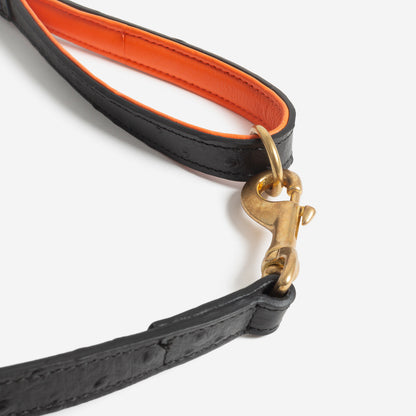 Discover dog walking luxury with our handcrafted Italian Ostrich leather dog Lead in Black & Orange! The perfect Lead for dogs available now at Lords & Labradors