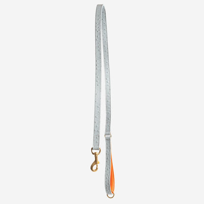 Discover dog walking luxury with our handcrafted Italian Ostrich leather dog Lead in Grey & Orange! The perfect Lead for dogs available now at Lords & Labradors