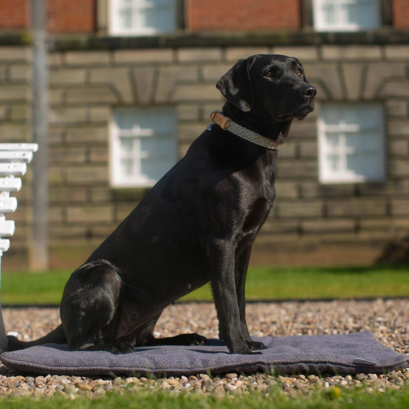 Embark on the perfect pet travel with our luxury Travel Mat in Oxford Herringbone. Featuring a Carry handle for on the move once Rolled up for easy storage, can be used as a seat cover, boot mat or travel bed! Available now at Lords & Labradors