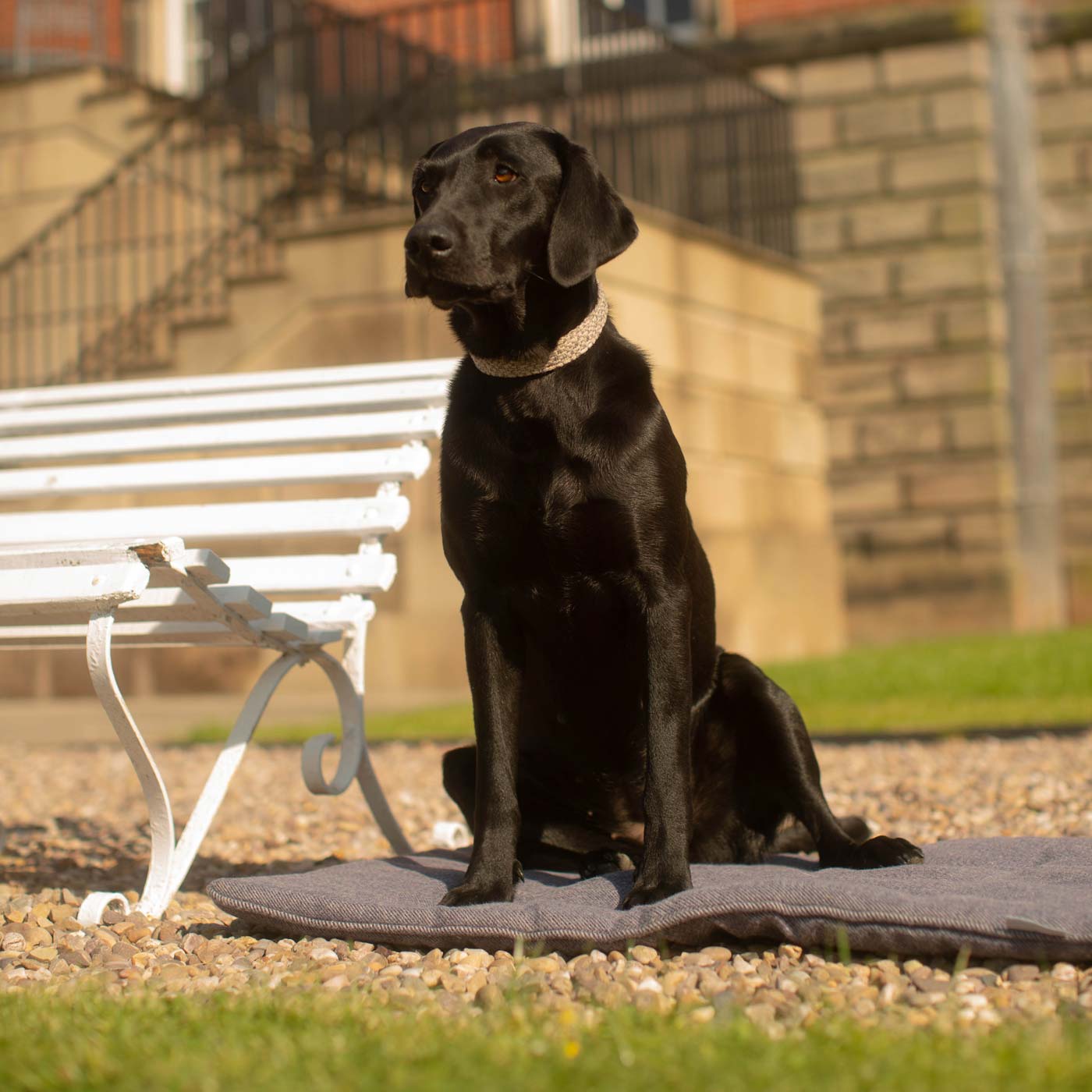 Embark on the perfect pet travel with our luxury Travel Mat in Oxford Herringbone. Featuring a Carry handle for on the move once Rolled up for easy storage, can be used as a seat cover, boot mat or travel bed! Available now at Lords & Labradors