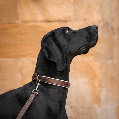 Discover dog walking luxury with our handcrafted Italian padded leather dog Lead in Brown & Cream! The perfect Lead for dogs available now at Lords & Labradors 