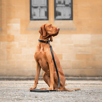 Discover dog walking luxury with our handcrafted Italian padded leather dog Lead in Black & Grey! The perfect Lead for dogs available now at Lords & Labradors    