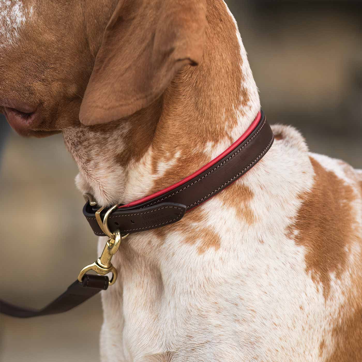 Discover dog walking luxury with our handcrafted Italian padded leather dog Lead in Brown & Red! The perfect Lead for dogs available now at Lords & Labradors    