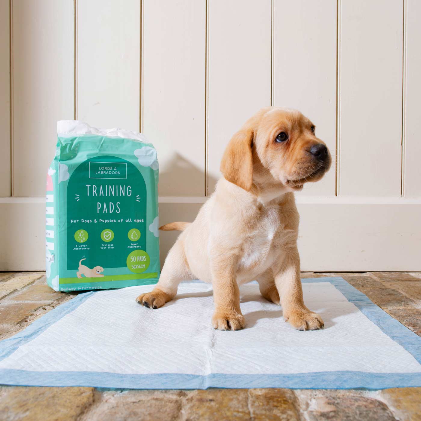 Discover Puppy Training Pads, 50 pads per pack. Featuring Super absorbent with 5 layers absorbency, and Makes house training easy and protects floors. Reducing smelly odours, Perfect for training puppies, travelling, ill or confined dogs. now available at Lords and Labradors