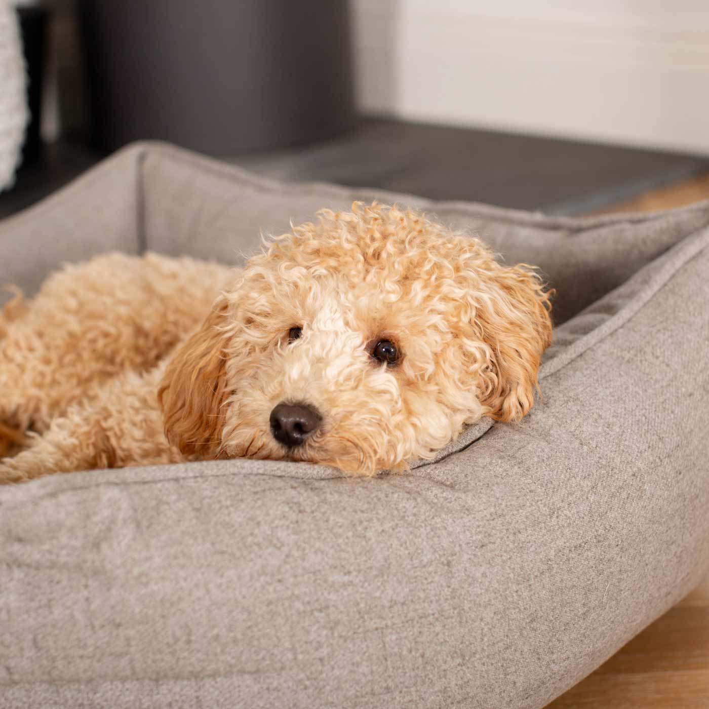 Luxury Handmade Box Bed For Dogs in Inchmurrin Ground, Perfect For Your Pets Nap Time! Available To Personalise at Lords & Labradors