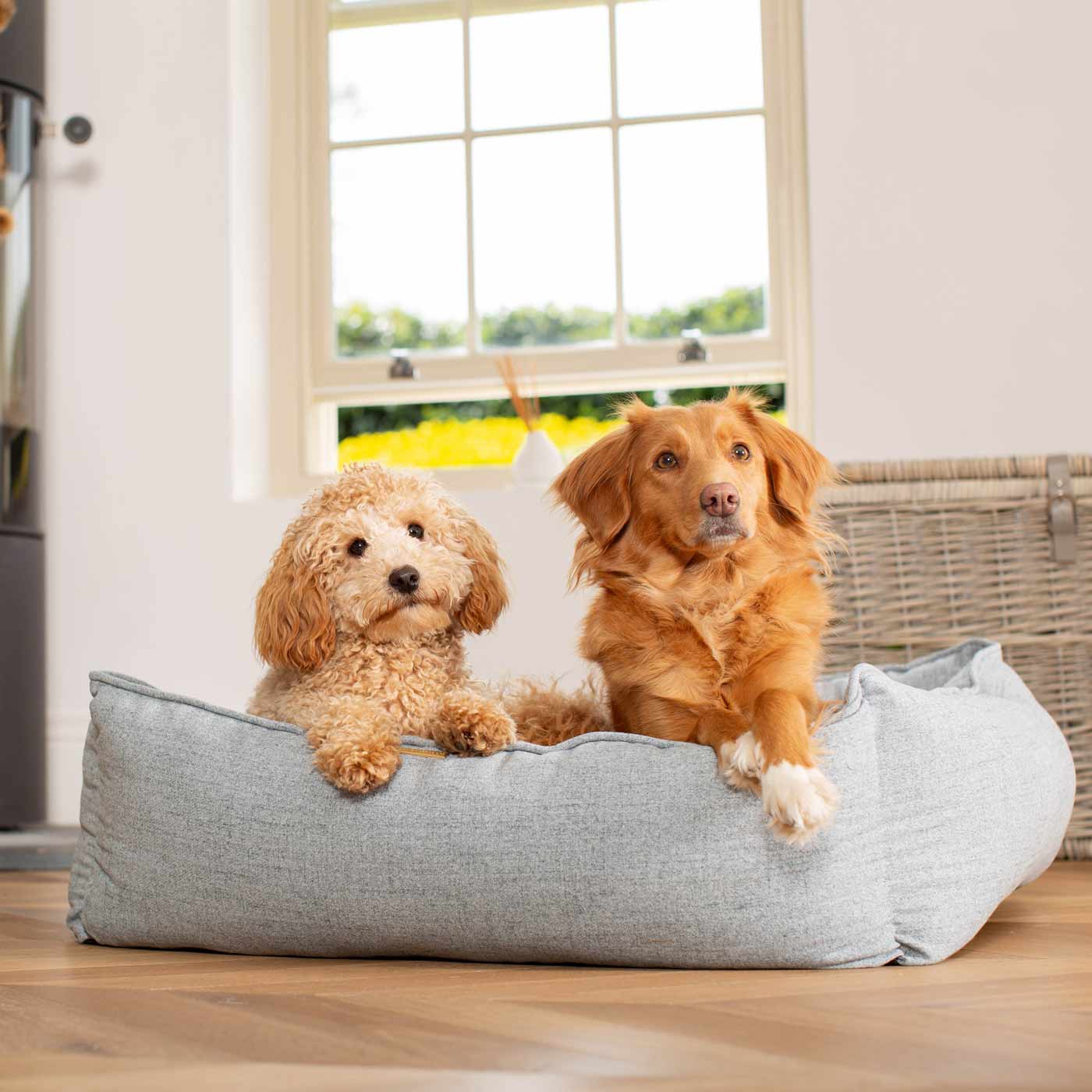 Luxury Handmade Box Bed For Dogs in Inchmurrin Iceberg, Perfect For Your Pets Nap Time! Available To Personalise at Lords & Labradors