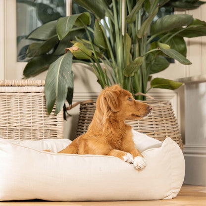 Box Bed For Dogs in Savanna Bone by Lords & Labradors