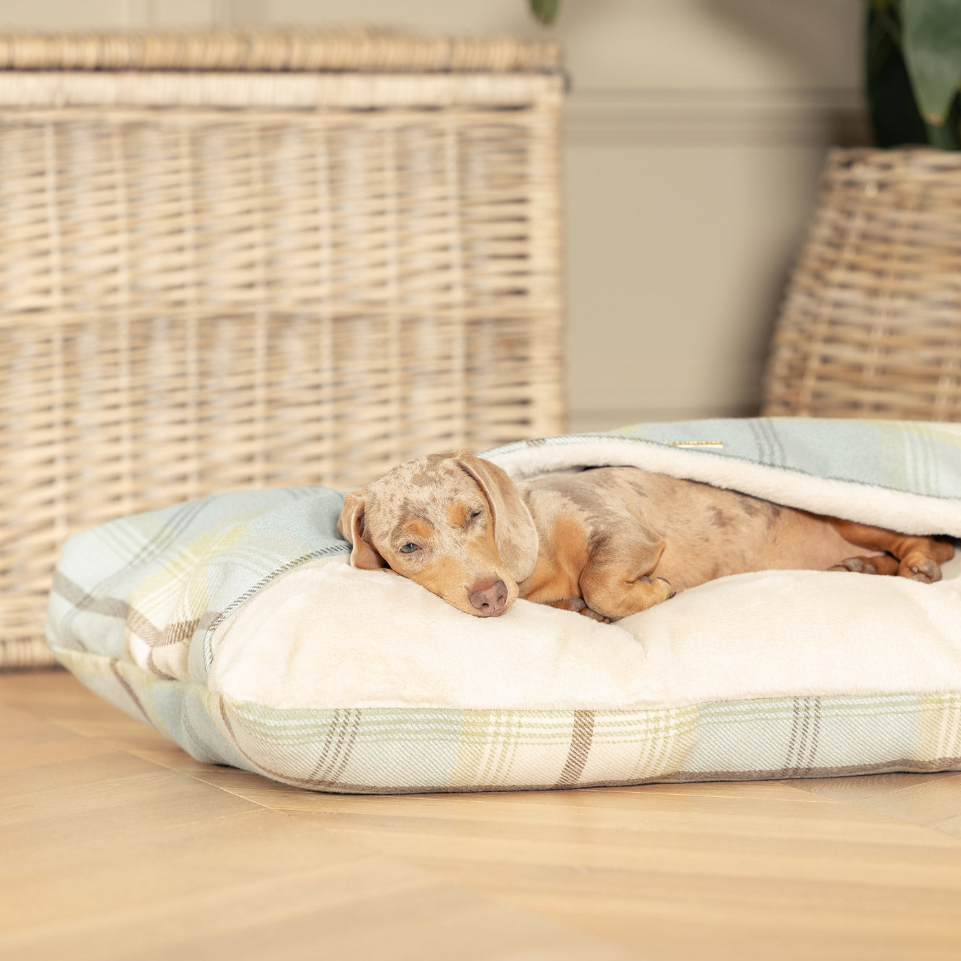 Discover The Perfect Burrow For Your Pet, Our Stunning Sleepy Burrow Dog Beds In Duck Egg Tweed Is The Perfect Bed Choice For Your Pet, Available Now at Lords & Labradors