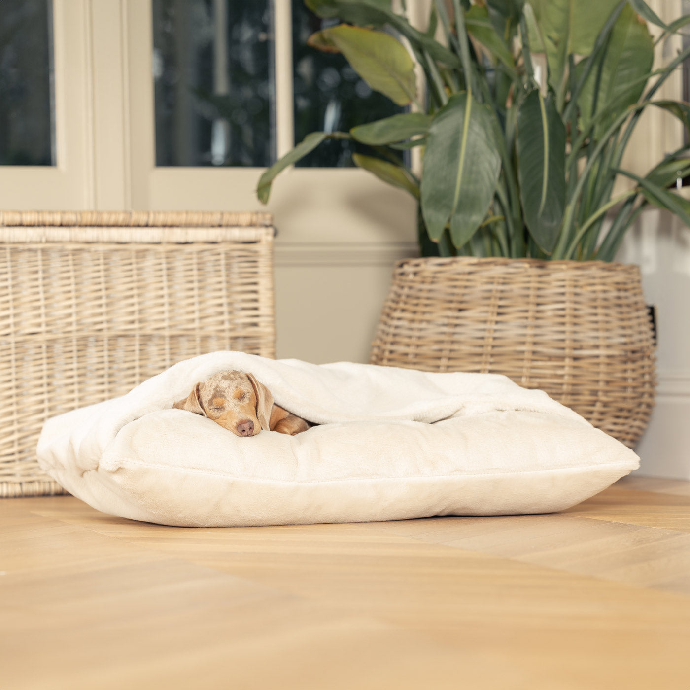 Discover The Perfect Burrow For Your Pet, Our Stunning Sleepy Burrow Dog Beds In Calming Anti Anxiety Cream Faux Fur, Is The Perfect Bed Choice For Your Pet, Available Now at Lords & Labradors 