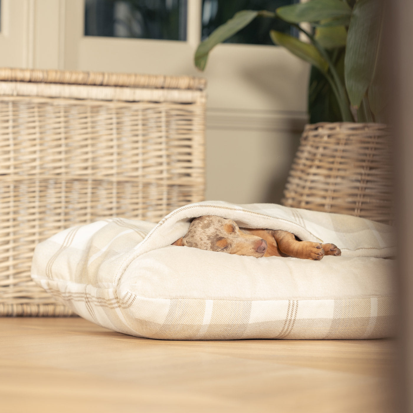 Discover The Perfect Burrow For Your Pet, Our Stunning Sleepy Burrow Dog Beds, In Natural Tweed Available Now at Lords & Labradors