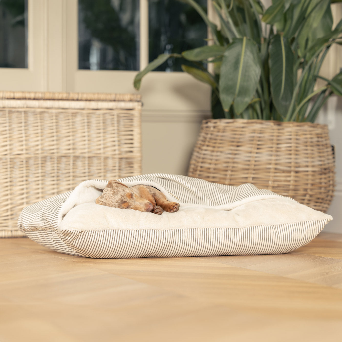 Discover The Perfect Burrow For Your Pet, Our Stunning Sleepy Burrow Dog Beds In Regency Stripe, Is The Perfect Bed Choice For Your Pet, Available Now at Lords & Labradors