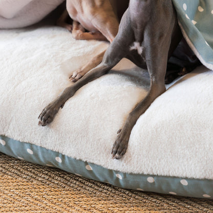  Discover The Perfect Burrow For Your Pet, Our Stunning Sleepy Burrow Dog Beds In Duck Egg Spot Is The Perfect Bed Choice For Your Pet, Available Now at Lords & Labradors