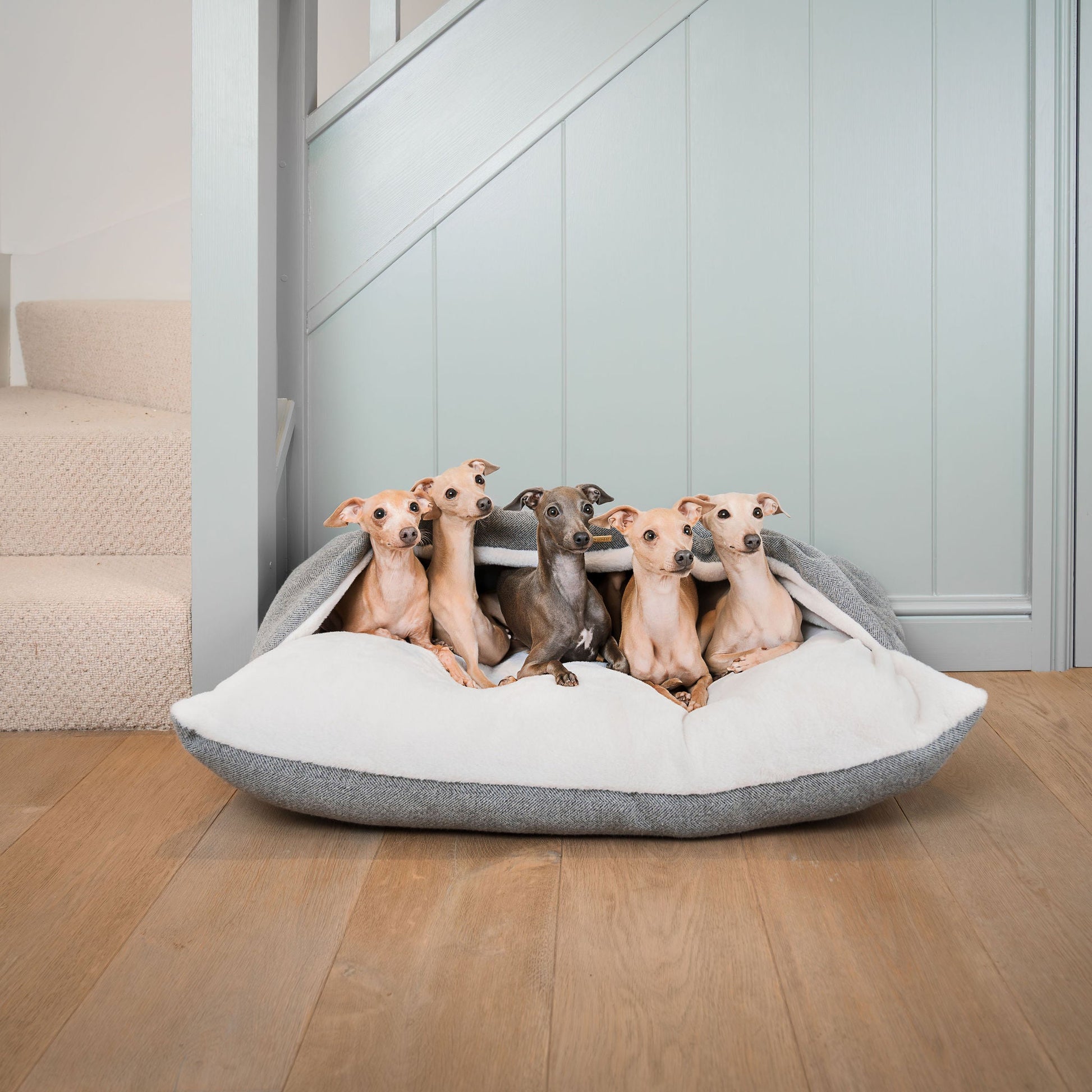 Discover The Perfect Burrow For Your Pet, Our Stunning Sleepy Burrow Dog Beds In Pewter Herringbone Is The Perfect Bed Choice For Your Pet, Available Now at Lords & Labradors