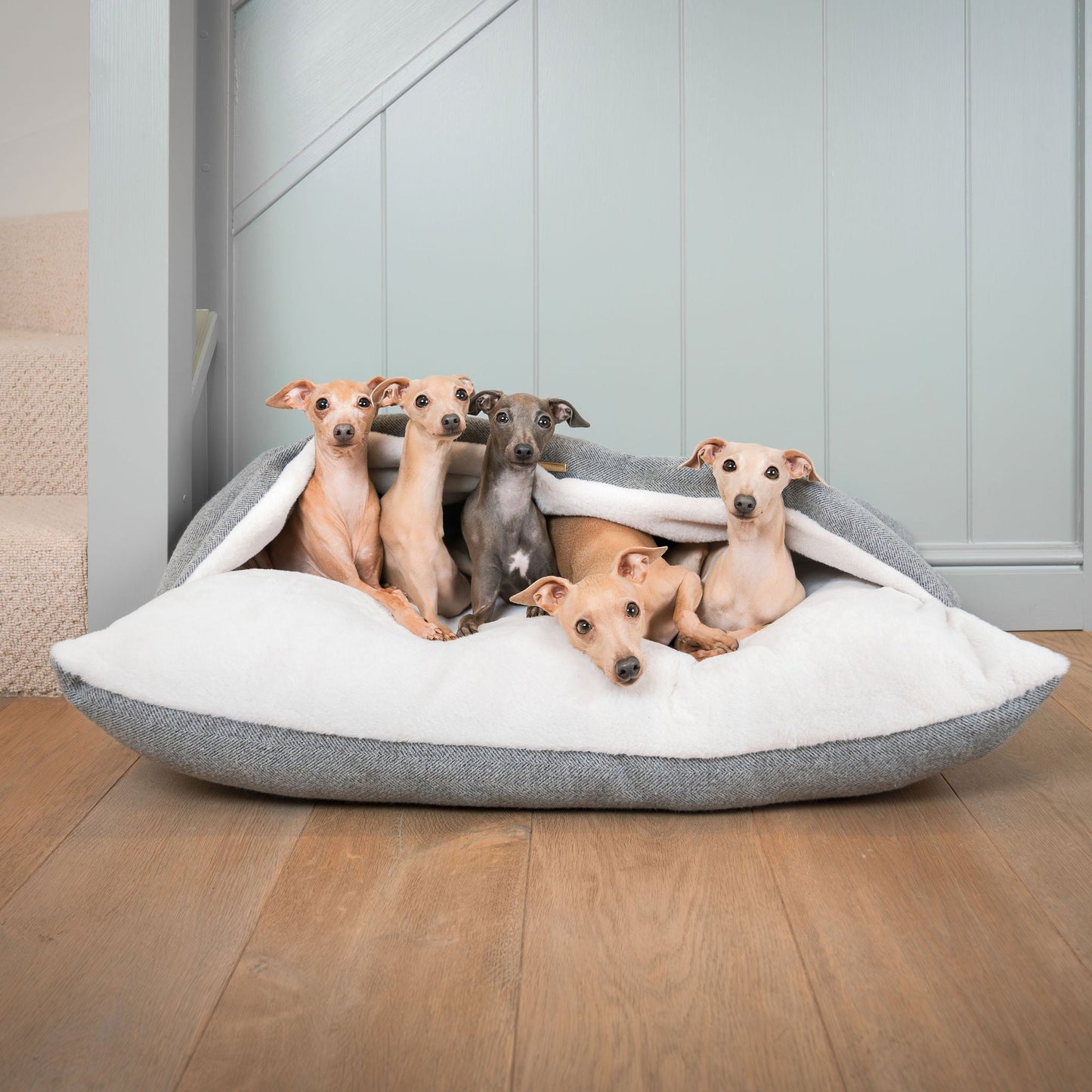 Discover The Perfect Burrow For Your Pet, Our Stunning Sleepy Burrow Dog Beds In Pewter Herringbone Is The Perfect Bed Choice For Your Pet, Available Now at Lords & Labradors