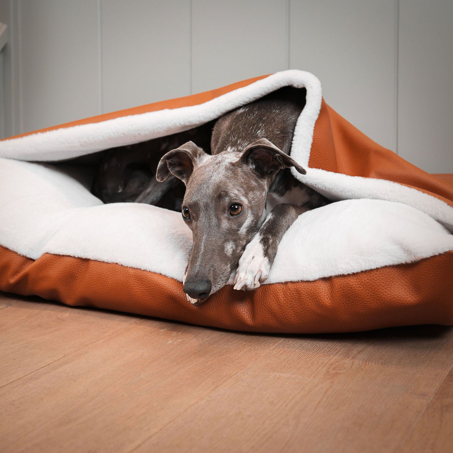  Discover The Perfect Burrow For Your Pet, Our Stunning Sleepy Burrow Dog Beds In Ember Rhino Faux Leather Is The Perfect Bed Choice For Your Pet, Available Now at Lords & Labradors