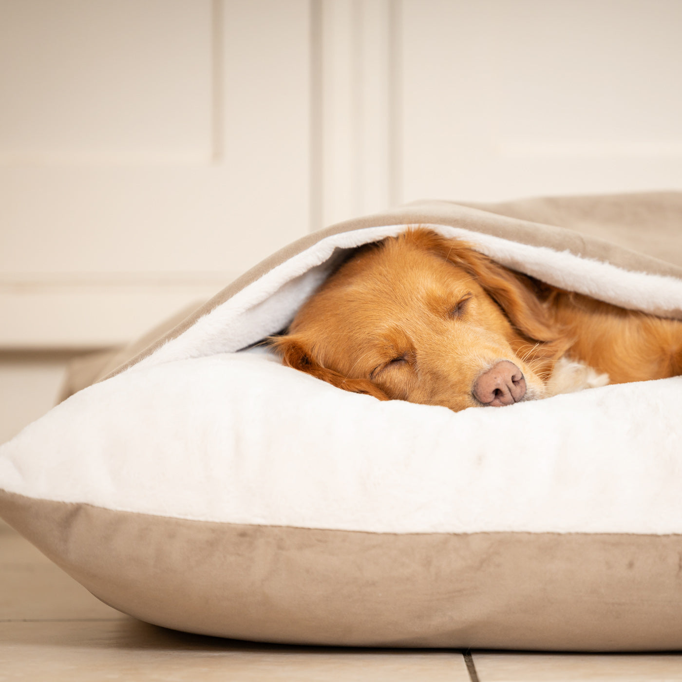 Sleepy Burrows Bed In Clay Velvet By Lords & Labradors